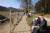 k-Fastenwandern Maerz 2016 011.JPG