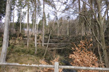 DSCI0114.JPG